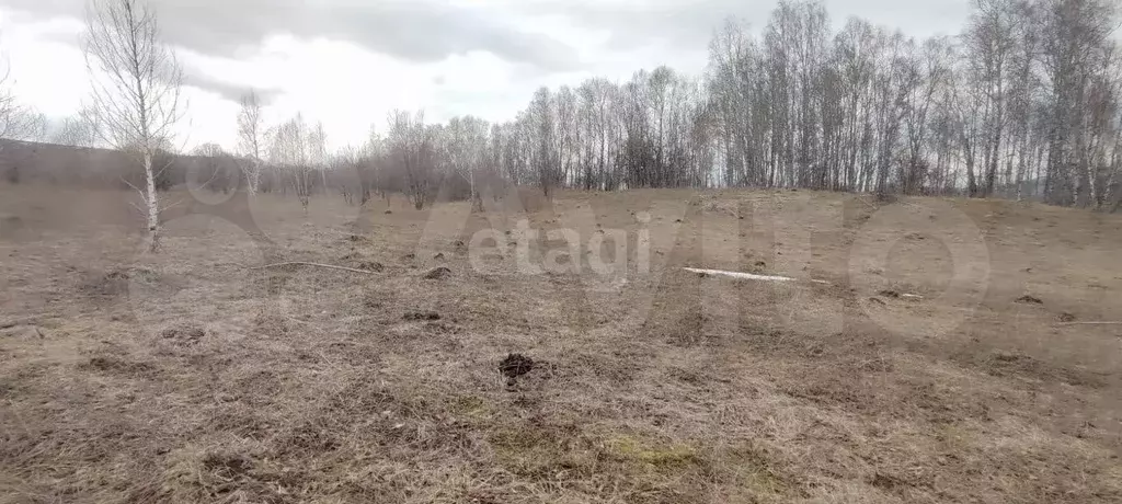 Участок 20 сот. (СНТ, ДНП) - Фото 0