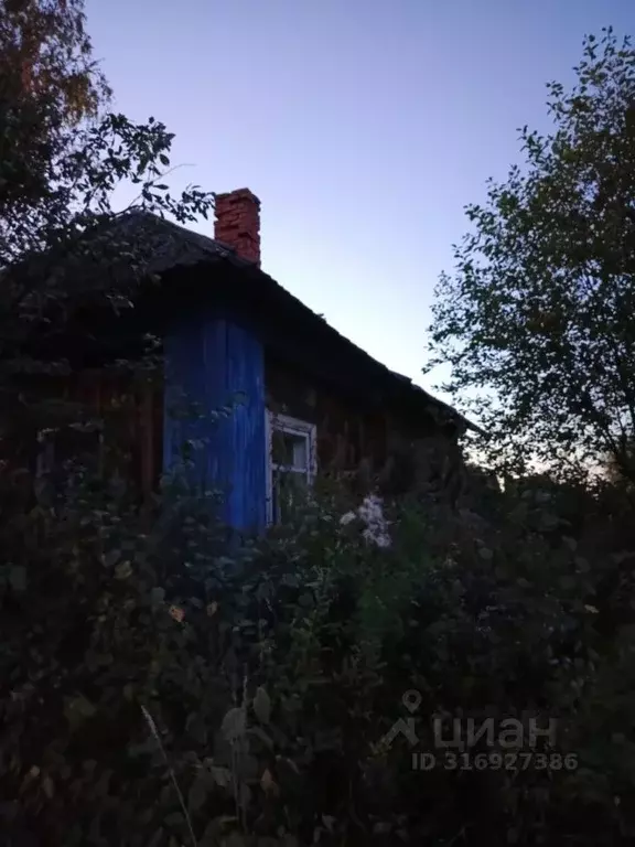 Дом в Кировская область, Пижанский муниципальный округ, д. Алехино 9 ... - Фото 0
