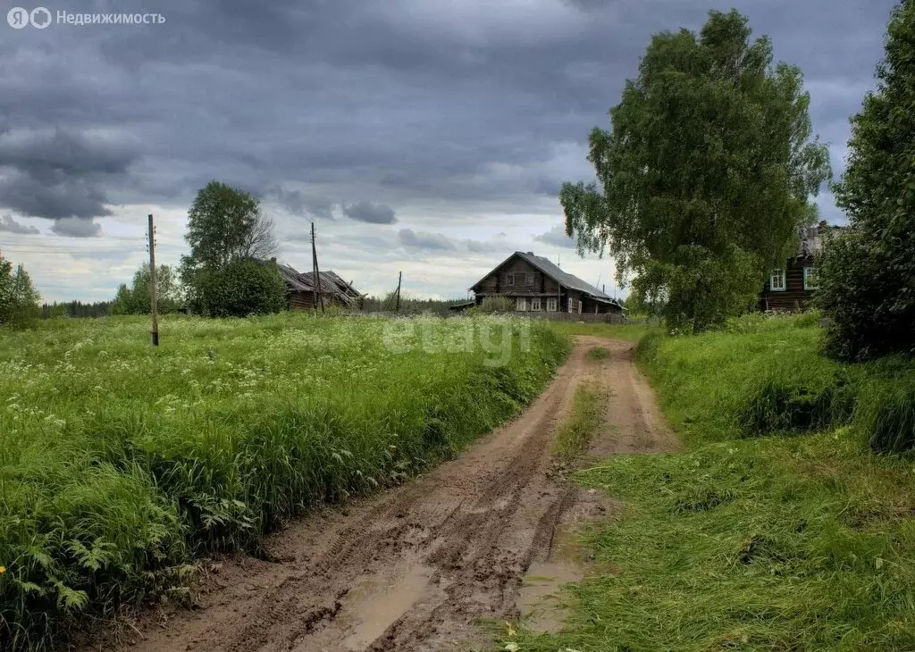 Участок в Костромской район, Кузнецовское сельское поселение, деревня ... - Фото 0