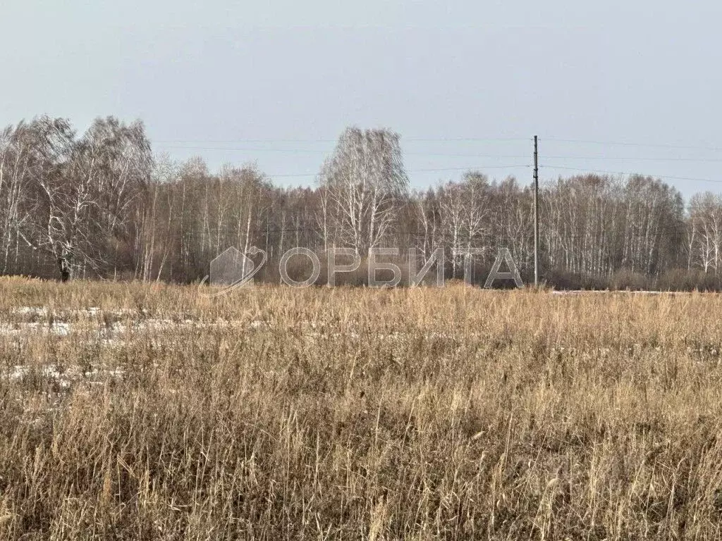 Участок в Тюменская область, Тюменский район, д. Елань  (7.0 сот.) - Фото 1