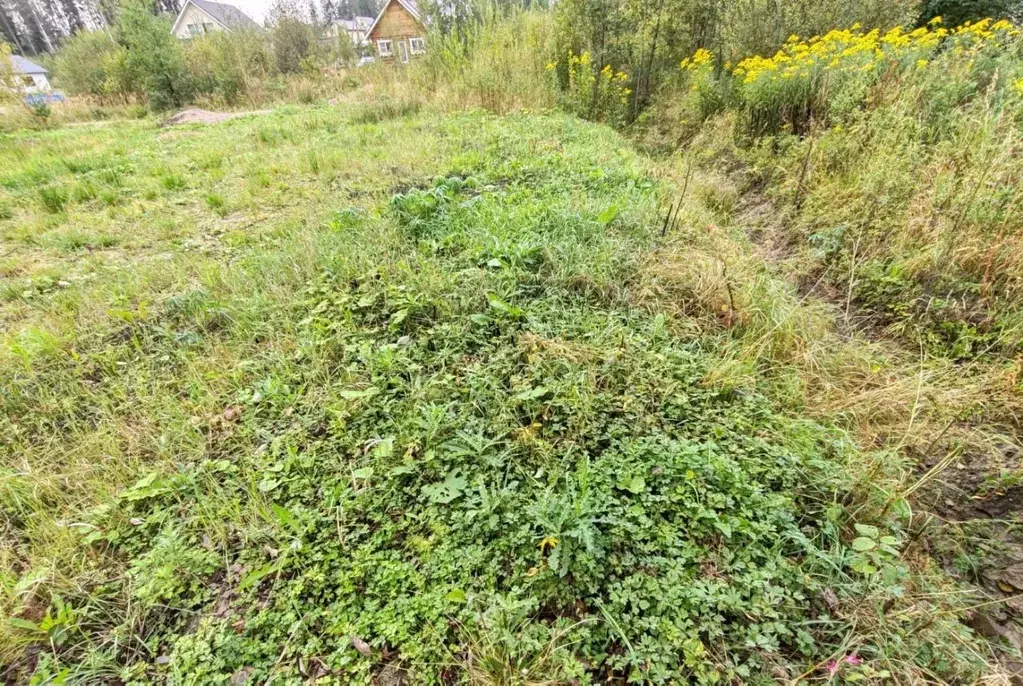 Участок в Ленинградская область, Выборг  (12.0 сот.) - Фото 0