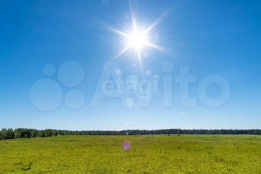 Участок 6,3 сот. (ИЖС) - Фото 1