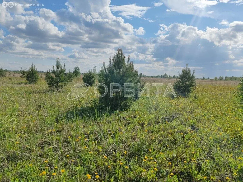 Участок в Тюменский район, село Ембаево (7.06 м) - Фото 0