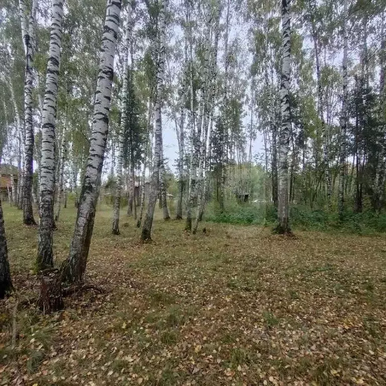 Участок в Московская область, Электроугли Богородский городской округ, ... - Фото 1