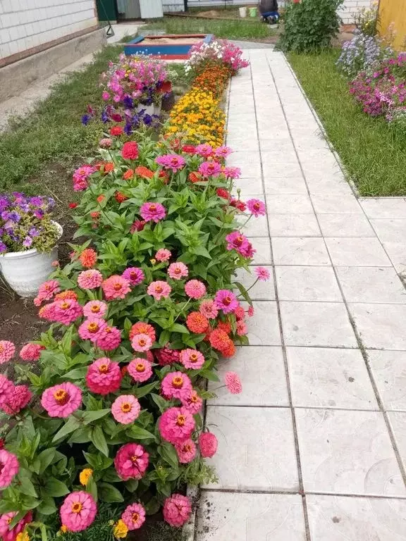 Дом в Алтайский край, Яровое ул. Верещагина, 36 (15 м) - Фото 0