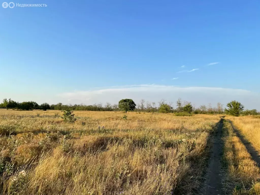 Участок в Кухаривка, Солнечная улица (15.12 м) - Фото 1