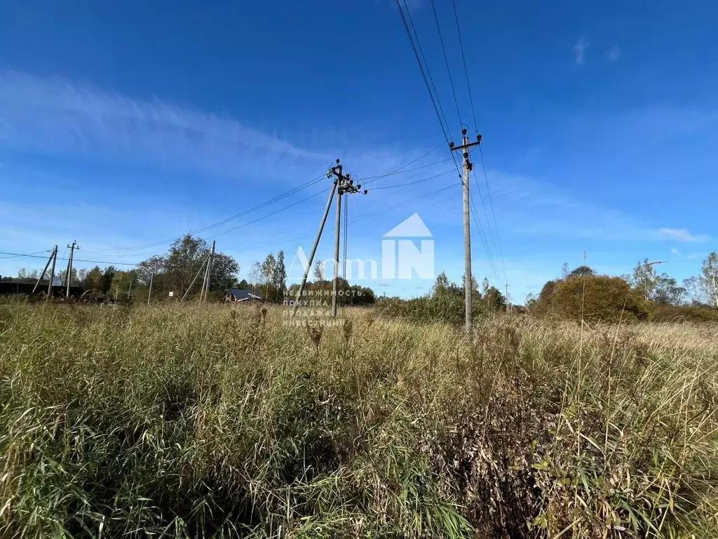 Участок в Ленинградская область, Приозерский район, Ромашкинское ... - Фото 2