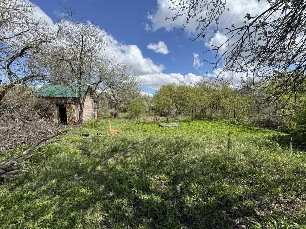 Участок в Московская область, Павловский Посад Южный садоводческое ... - Фото 2