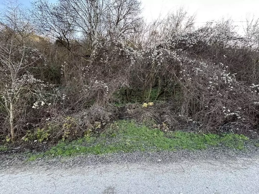 Участок в Севастополь с. Верхнесадовое, ул. Локомотивная (8.5 сот.) - Фото 1