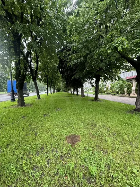 Участок 12 сот. (ИЖС) - Фото 0