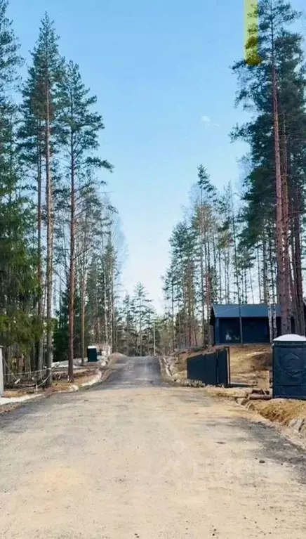 Участок в Ленинградская область, Всеволожский район, Куйвозовское ... - Фото 0