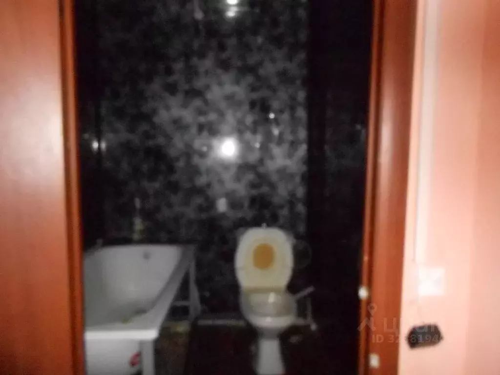 Помещение свободного назначения в Челябинская область, с. Еткуль ул. ... - Фото 2