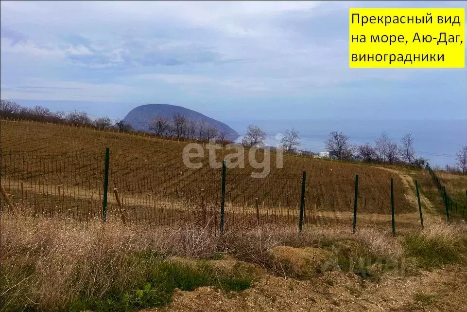 Участок в Крым, Ялта муниципальный округ, пос. Партизанское ул. ... - Фото 2