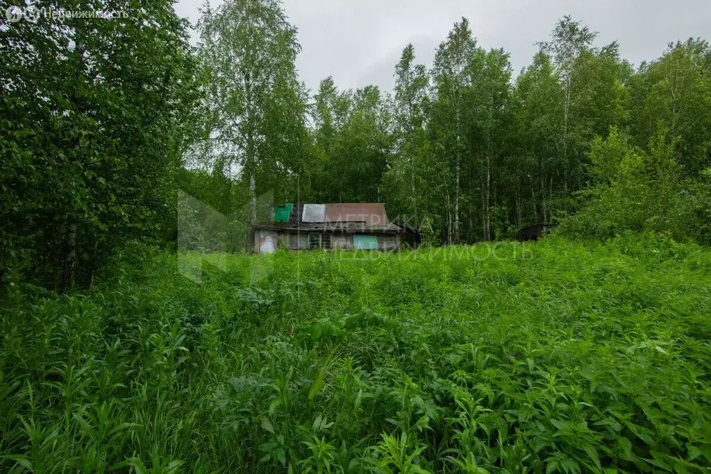 Участок в Нижнетавдинский район, садоводческое некоммерческое ... - Фото 1