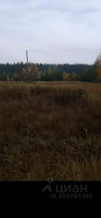 Участок в Рязанская область, Спасский район, Выжелесское с/пос, с. ... - Фото 1