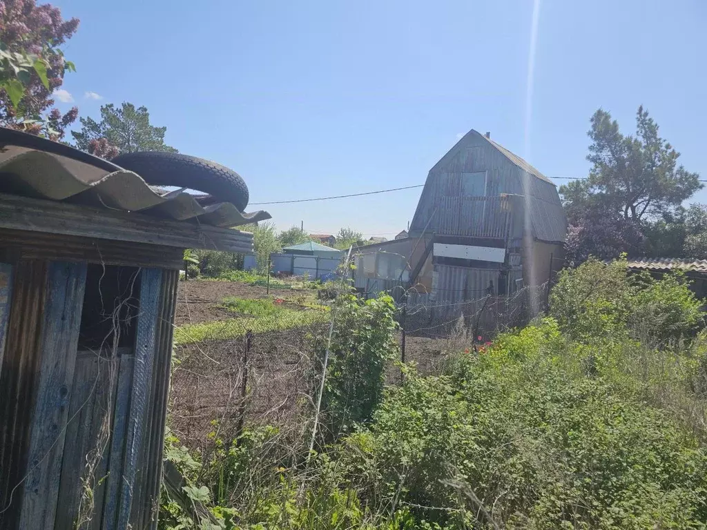 Участок в Оренбургская область, Оренбургский район, ... - Фото 1