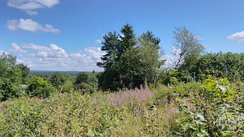 Дом в Ленинградская область, Выборгский район, Рощино городской ... - Фото 1