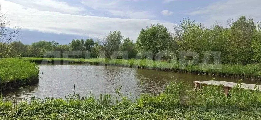 Участок в Ростовская область, Аксайский район, Старочеркасская ст-ца ... - Фото 2