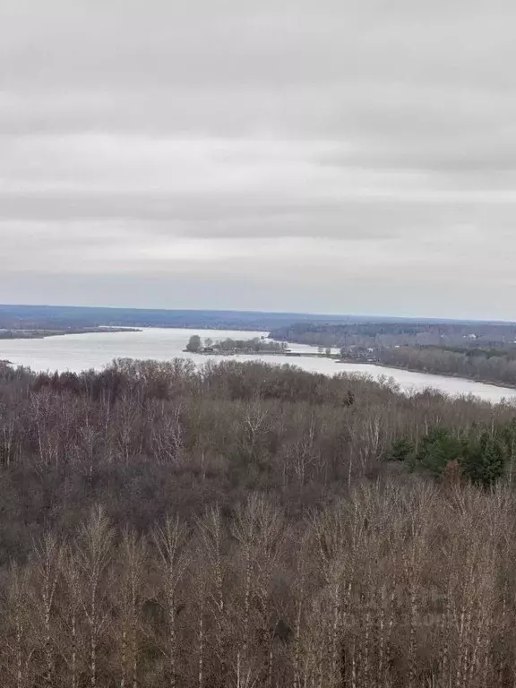 1-к кв. Ярославская область, Ярославль ул. Пашуковская, 9 (32.36 м) - Фото 2