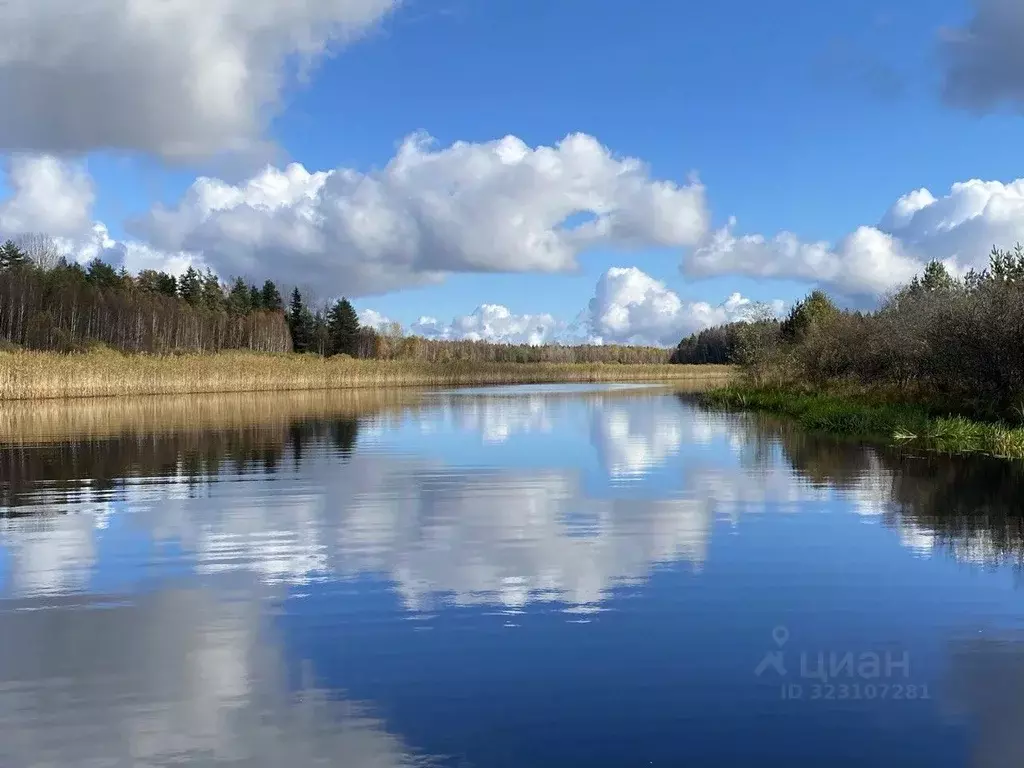 Участок в Псковская область, Гдовский район, Самолвовская волость, д. ... - Фото 1