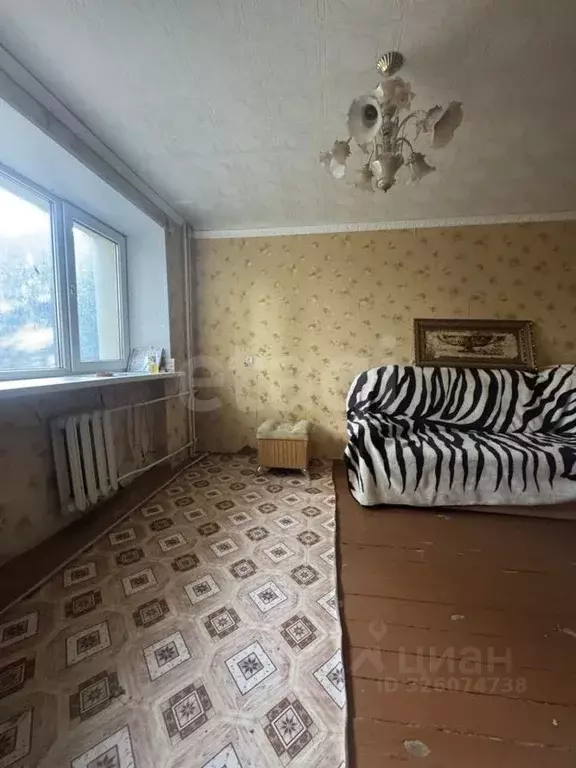 3-к кв. Саратовская область, Балашов Нефтяная ул., 56 (37.3 м) - Фото 2