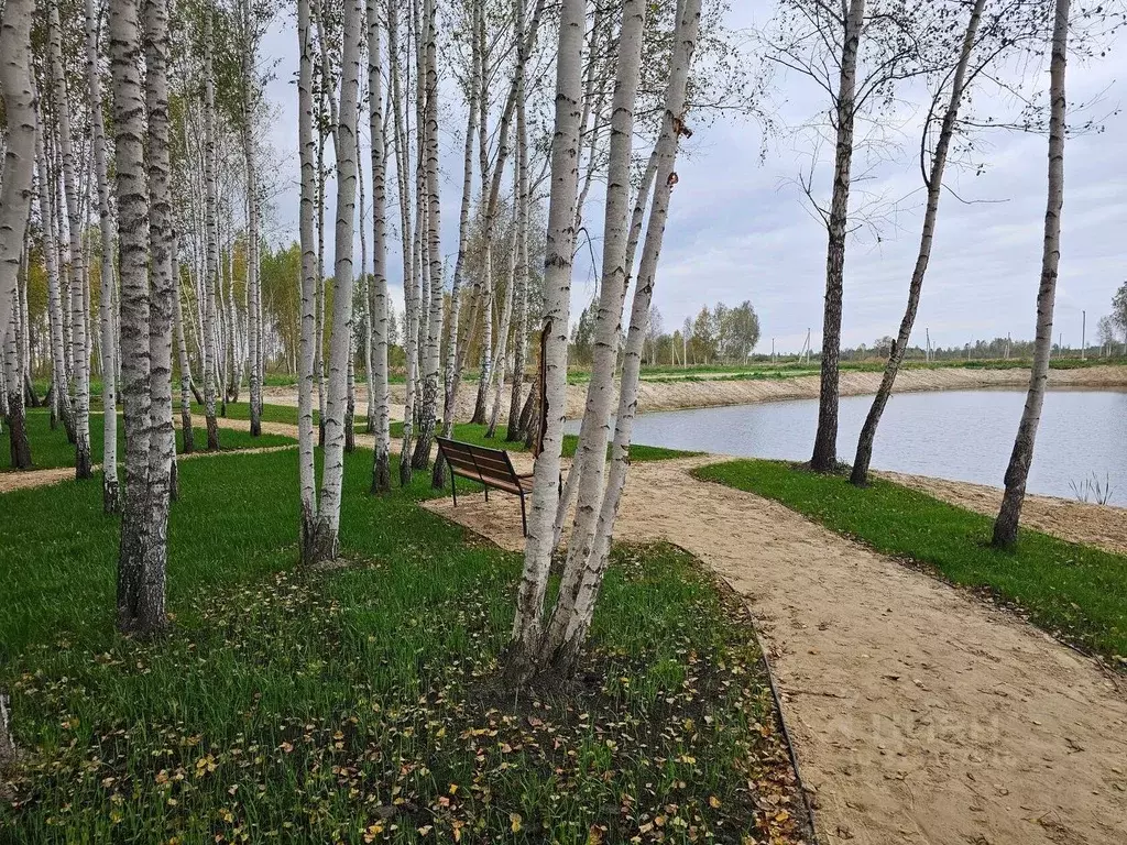 Участок в Тюменская область, Тюмень Строитель СНТ,  (6.0 сот.) - Фото 0