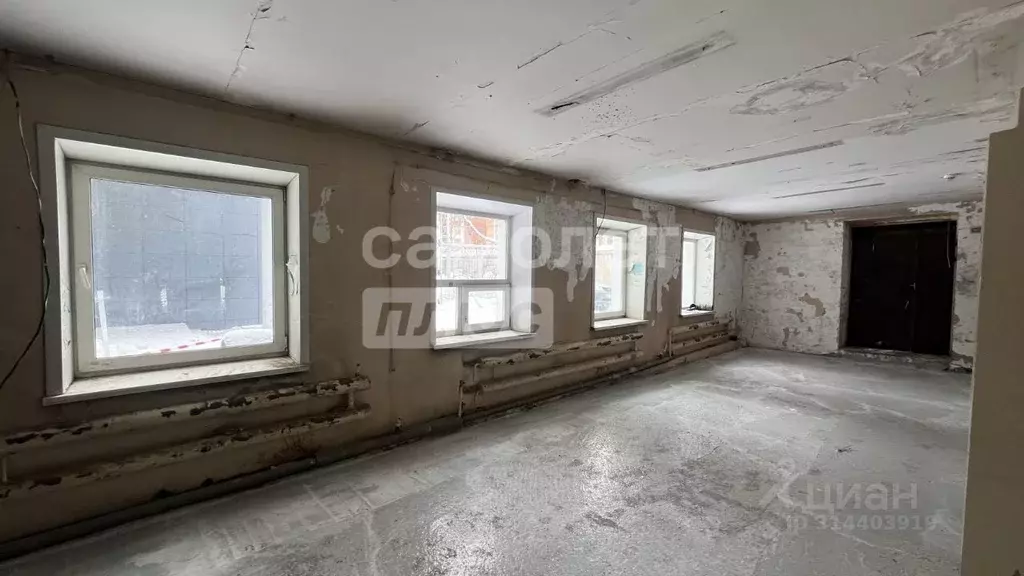 Помещение свободного назначения в Алтайский край, Барнаул ... - Фото 0