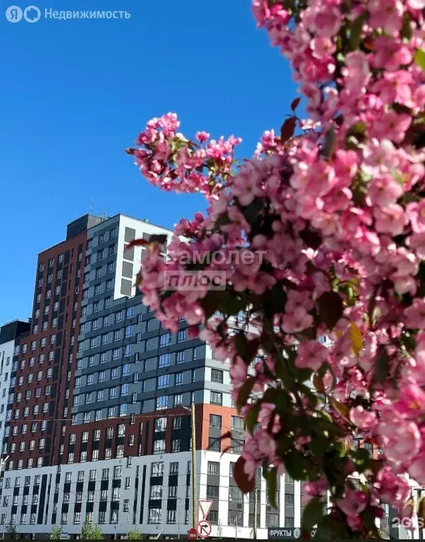 1-комнатная квартира: деревня Патрушева, улица Петра Ершова, 15 (53.8 ... - Фото 1