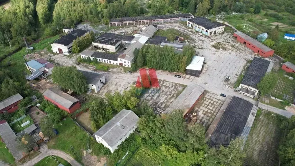 Производственное помещение в Костромская область, Буй Лаврово мест., 1 ... - Фото 1