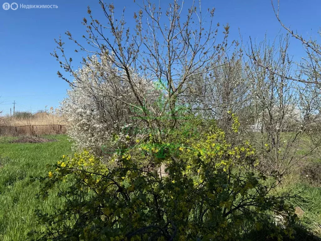 Дом в станица Гривенская, Заводская улица (52 м) - Фото 1