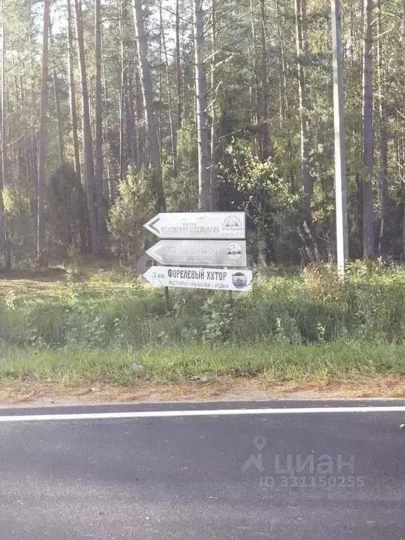 Участок в Псковская область, Печорский муниципальный округ, д. Вашина ... - Фото 1