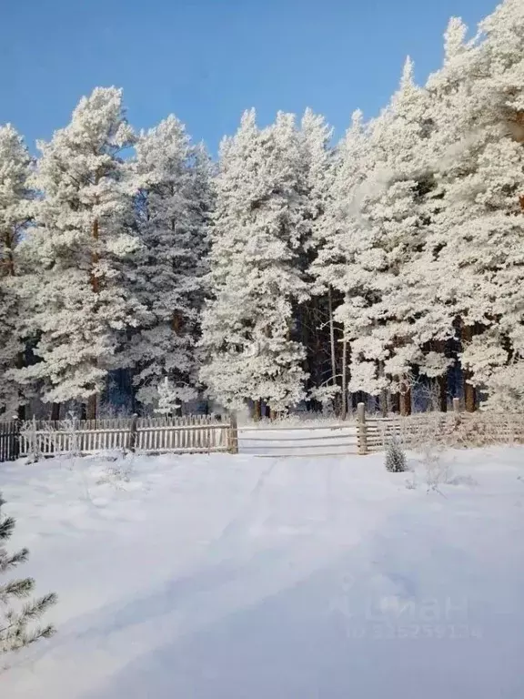 Дом в Алтайский край, Тальменский район, с. Усть-Чумыш Боровая ул., 12 ... - Фото 2