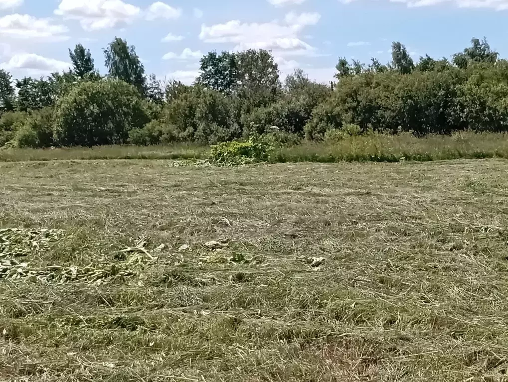 Участок в Ленинградская область, Кингисеппский район, Большелуцкое ... - Фото 2