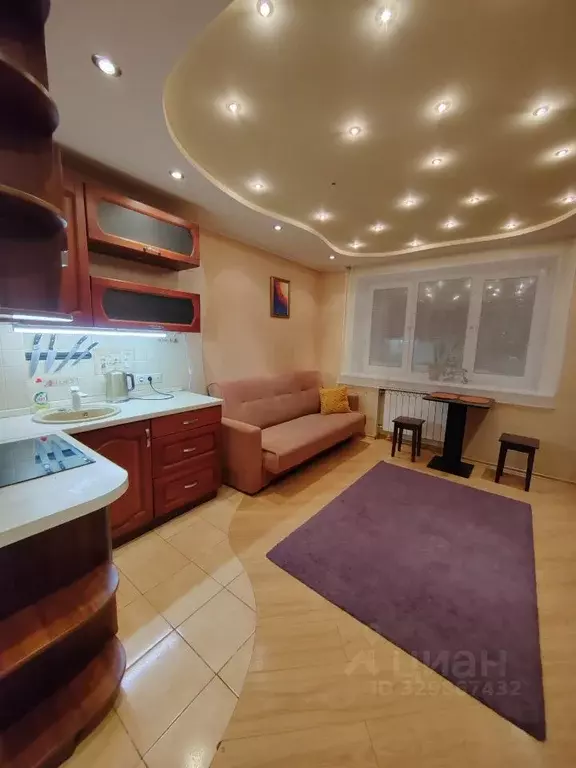 1-к кв. Московская область, Лыткарино 2-й мкр, 7-й кв-л, 5Б (20.0 м) - Фото 2