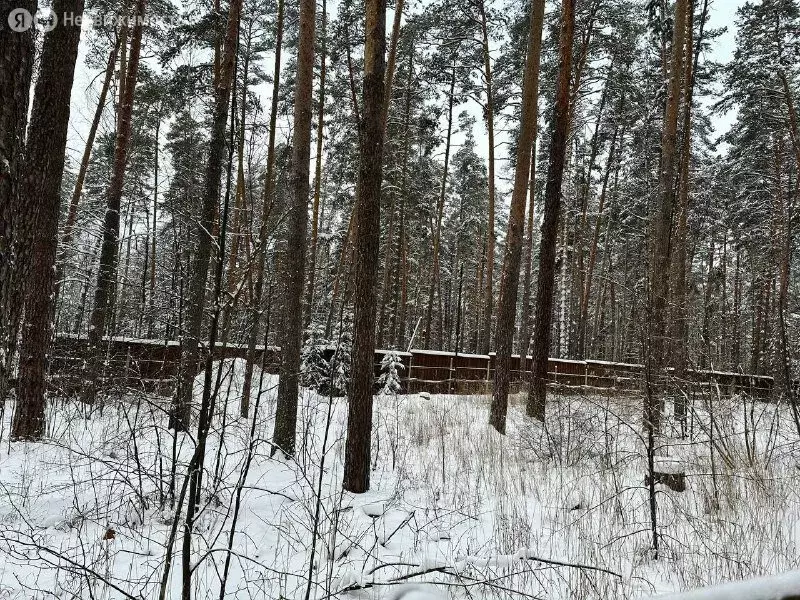 Участок в Лаишевский район, деревня Матюшино (20 м) - Фото 1
