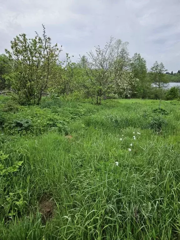 Участок в Новгородская область, Валдайский район, Яжелбицкое с/пос, ... - Фото 1