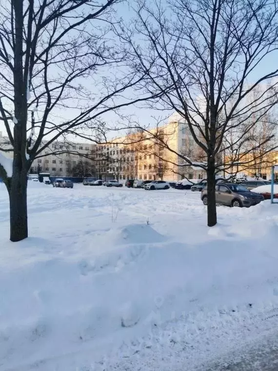 Помещение свободного назначения в Санкт-Петербург Шафировский просп., ... - Фото 1