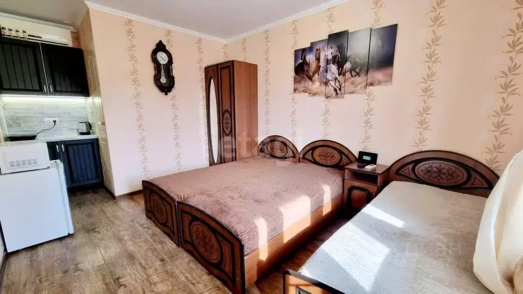 Студия Краснодарский край, Анапа муниципальный округ, с. Витязево ул. ... - Фото 1