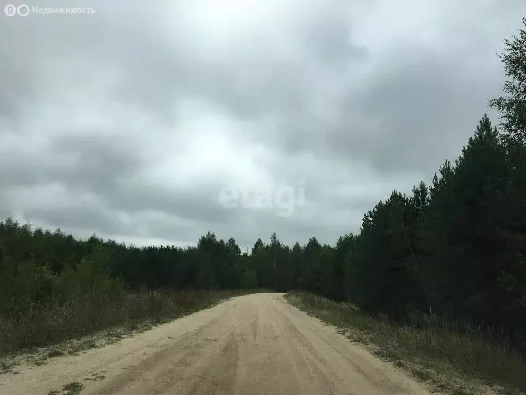 Участок в Звениговский район, Кокшайское сельское поселение, деревня ... - Фото 0