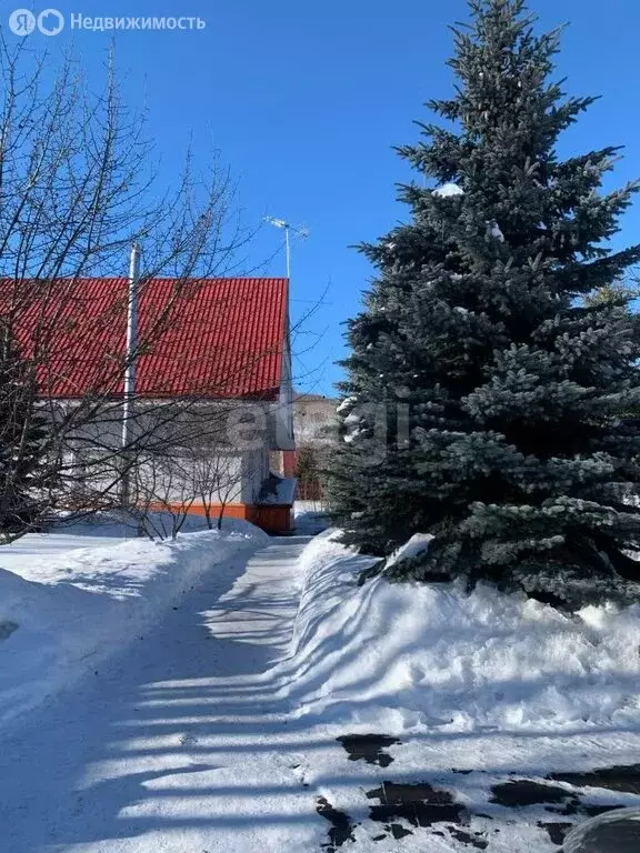 Дом в Елизово, улица 40 лет Октября (363.9 м) - Фото 0