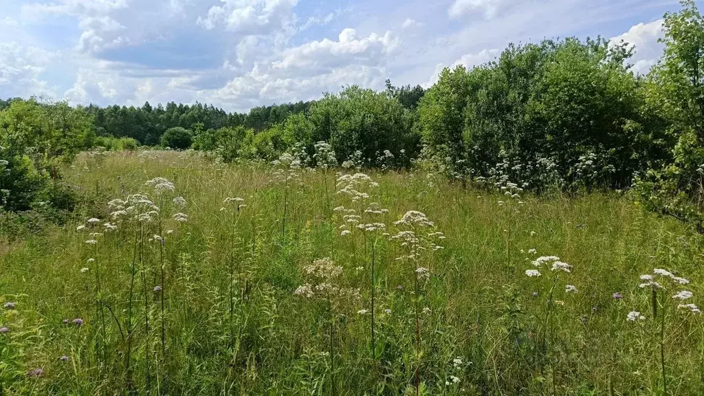 Участок в Московская область, Можайский муниципальный округ, д. ... - Фото 2