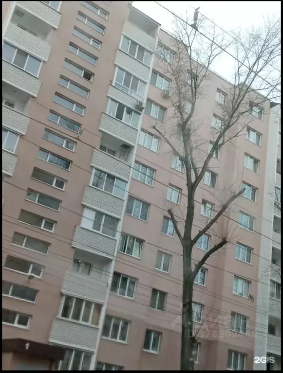 1-к кв. Саратовская область, Саратов Огородная ул., 150/156 (31.0 м) - Фото 2