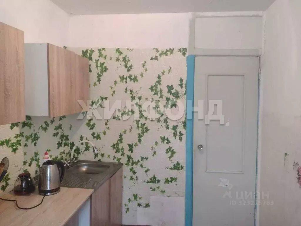 1-к кв. Новосибирская область, Новосибирск ул. Петухова, 34 (28.8 м) - Фото 2