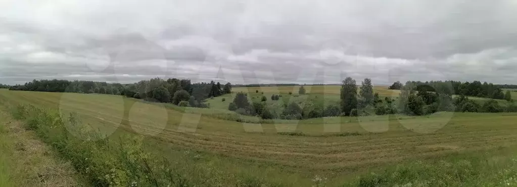 Участок 30 сот. (ИЖС) - Фото 0