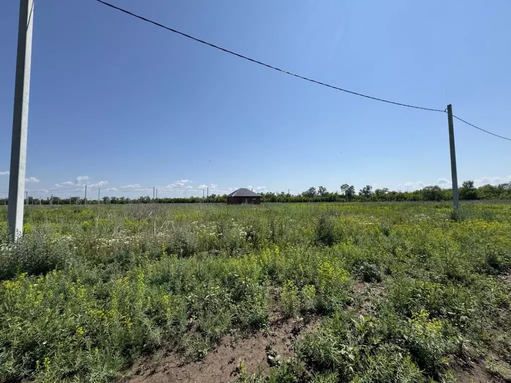 Участок в Оренбургская область, Оренбургский район, Нежинский ... - Фото 2