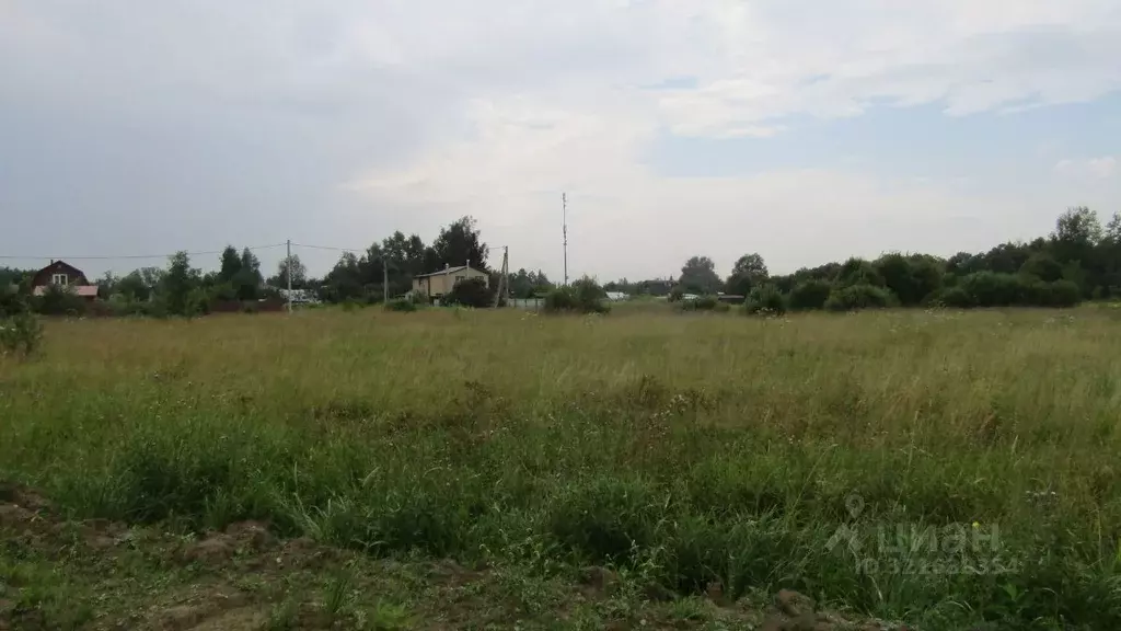 Участок в Московская область, Рузский муниципальный округ, д. Грибцово ... - Фото 1