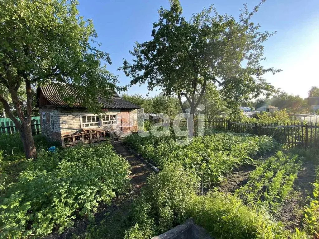 Дом в Брянская область, Брянск Имени Гагарина садоводческое ... - Фото 2