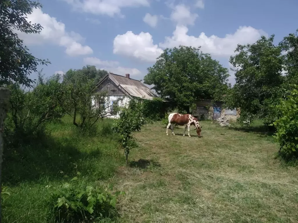 Хутор бараниковский славянский. Хутор Бараниковский Краснодарский край. Хутор Бараниковский Славянский район. Улица Садовая на хуторе Бараниковский.. Хутор Бараниковский парк.