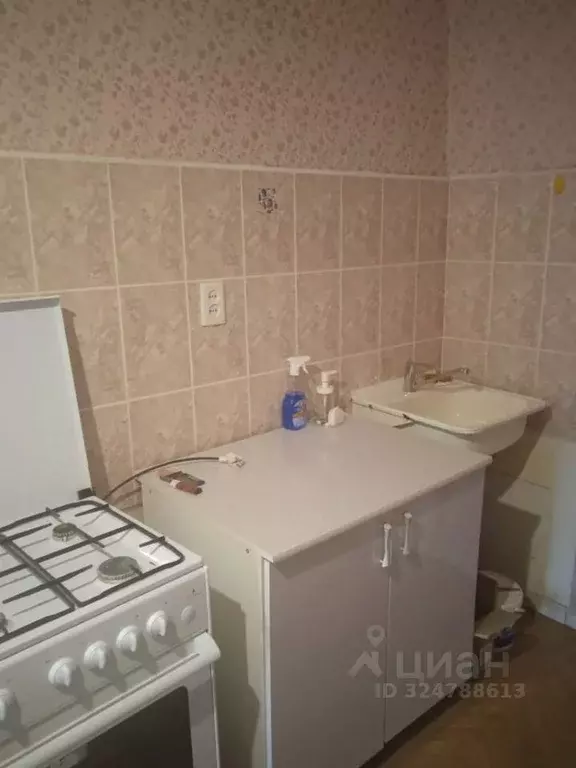 1-к кв. Нижегородская область, Нижний Новгород ул. Евгения ... - Фото 1