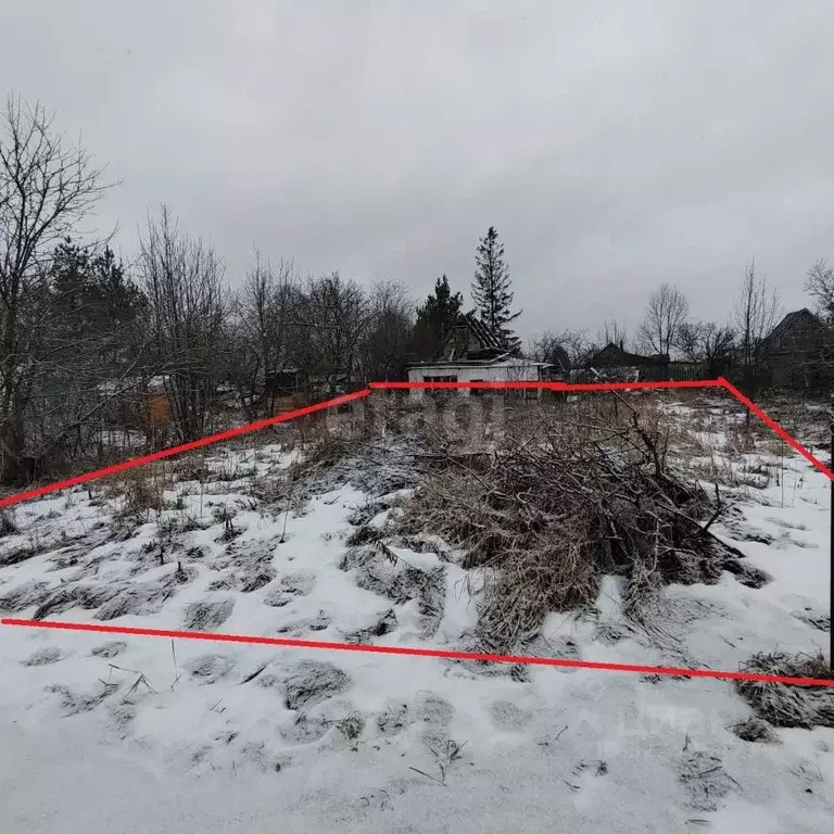 Участок в Вологодская область, Вологда Березка-2 садоводческое ... - Фото 2